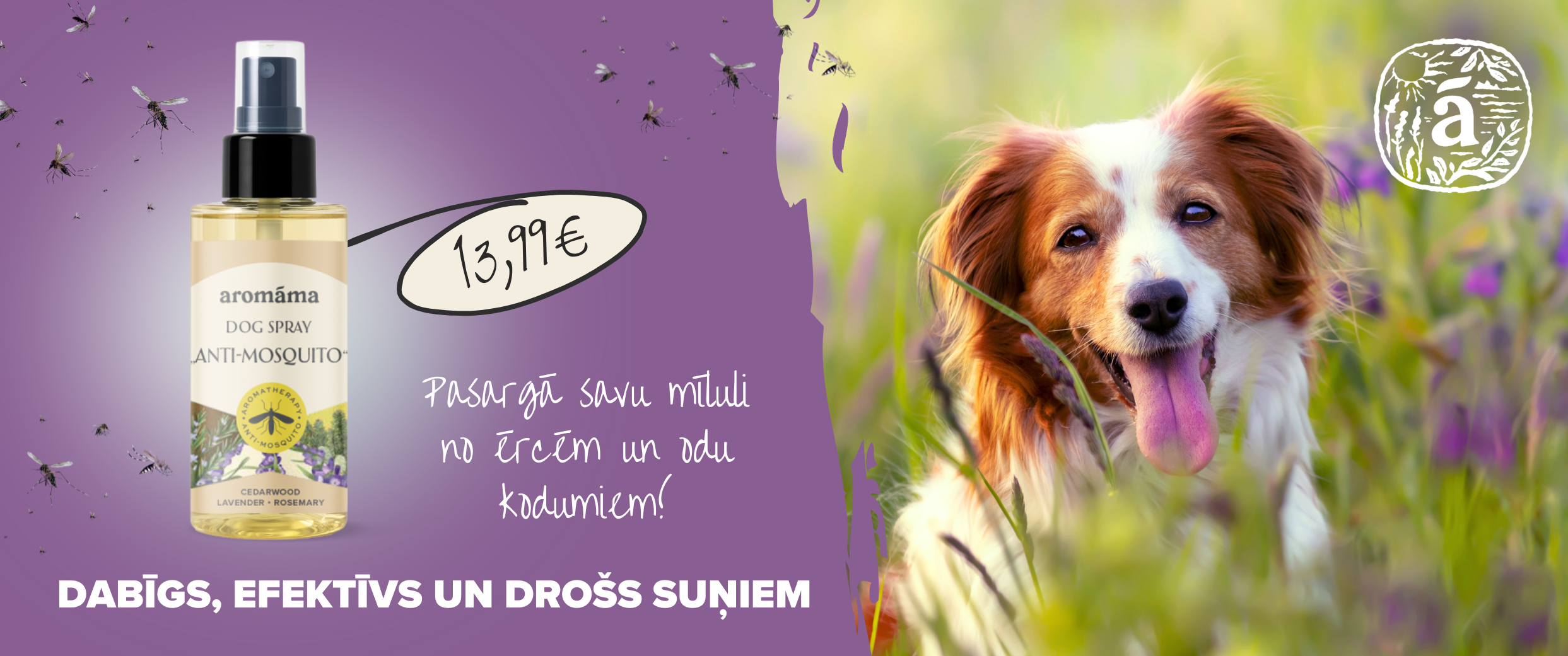 Jaunums suņiem!