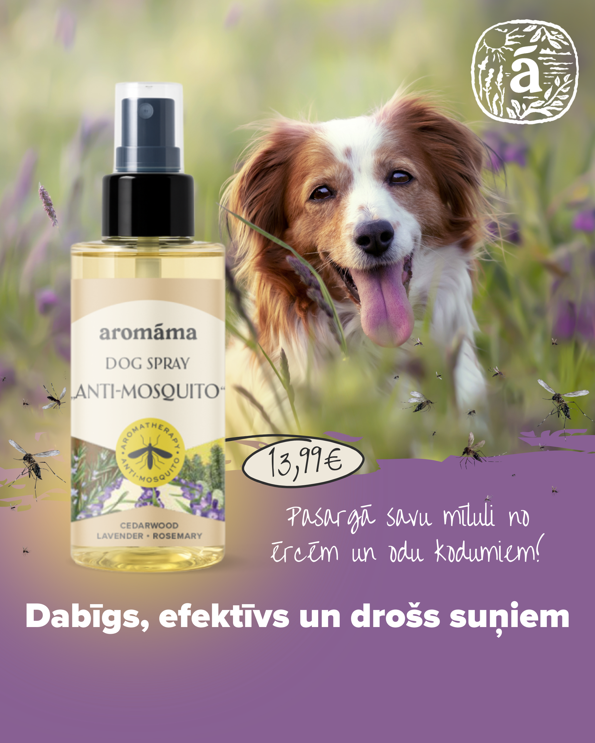 Jaunums suņiem!