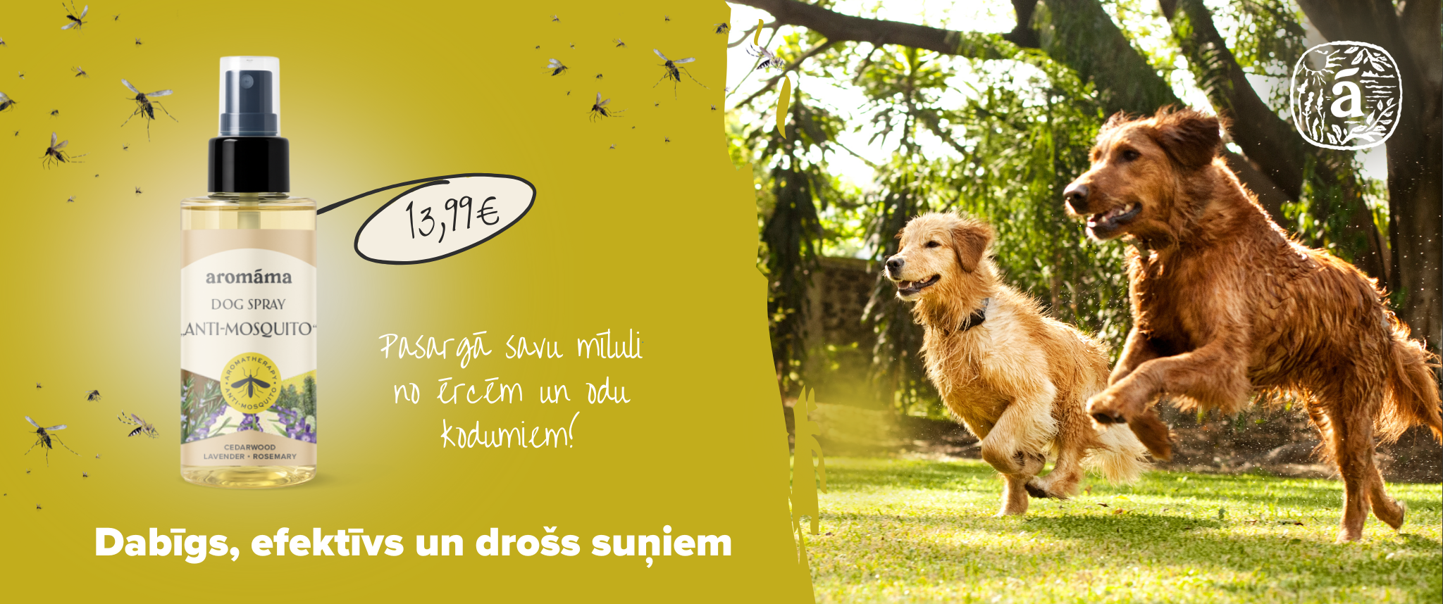 Jaunums suņiem!